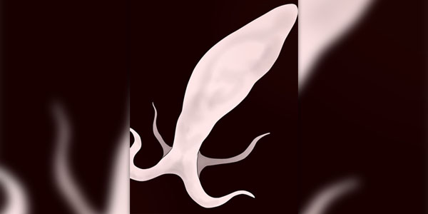 โดจิน ตัวดูดแรงสูงที่น่าหลงใหล อ่านโดจินฟรี อ่านการ์ตูนโป๊ doujin thai