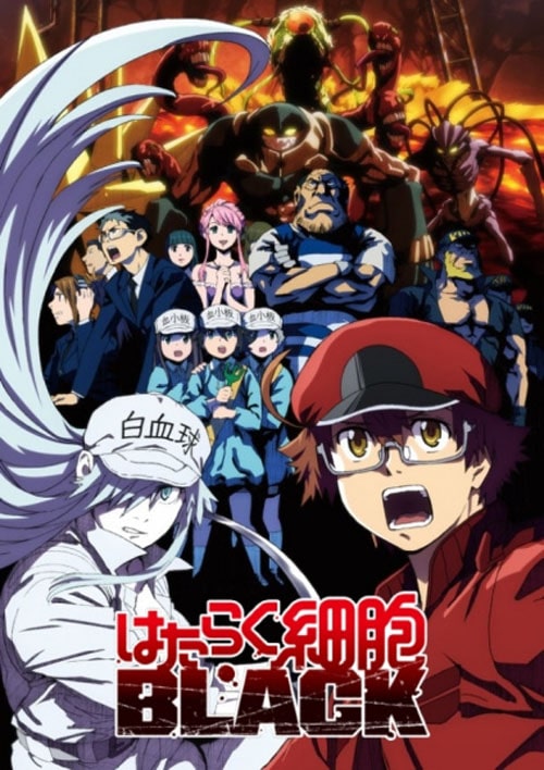 Hataraku Saibou Black เซลล์ขยัน พันธุ์เดือด แบล็ค ซับไทย