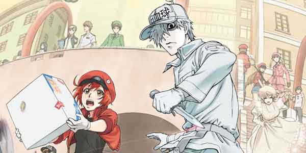 Hataraku Saibou เซลล์ขยัน พันธุ์เดือด ซับไทย ทุกตอน