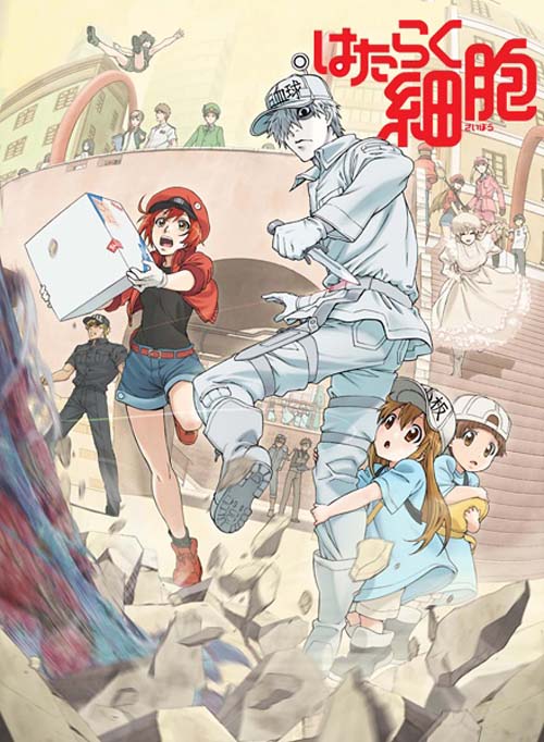 Hataraku Saibou เซลล์ขยัน พันธุ์เดือด ซับไทย