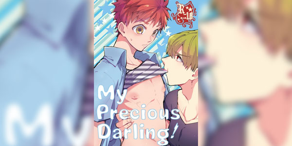 โดจิน เฟท/สเตย์ไนท์