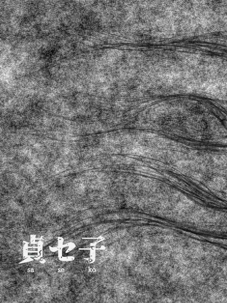 โดจิน พิธีกรรมคืนชีพ2 022605 - [Minazuki Mikka] Saseko Sore wa Otoko (2)