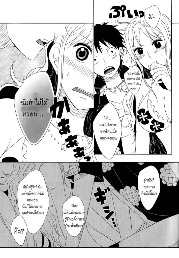 โดจิน รักของลูฟี่แก่นามิ 014236 - (Osaka Daienkai 3) (15)