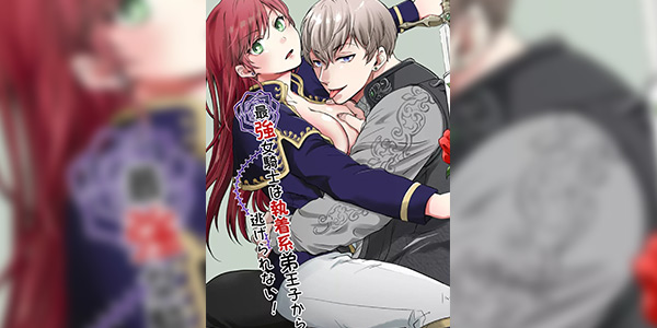 Read more about the article โดจิน อัศวินจำเป็น 2