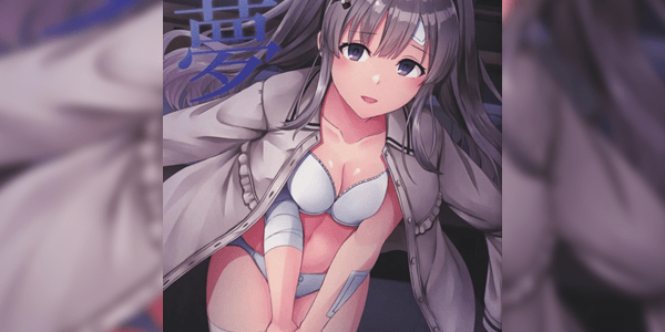 Read more about the article โดจิน ฝันของคิริโกะ