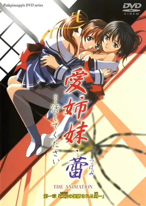 Ai Shimai Tsubomi… Kegashite Kudasai ซับไทย