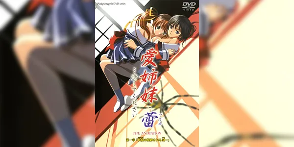 Ai Shimai Tsubomi… Kegashite Kudasai ซับไทย