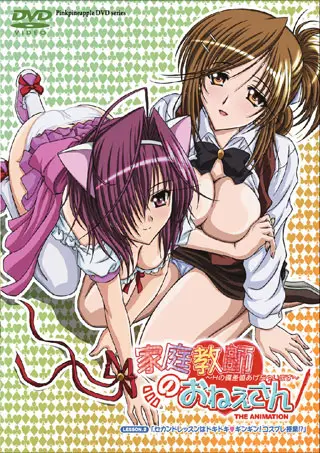Kateikyoushi no Onee-san The Animation ซับไทย