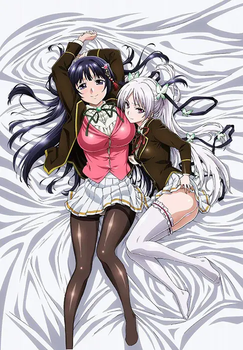 Ojou-sama Yomeiri Kousou! ซับไทย